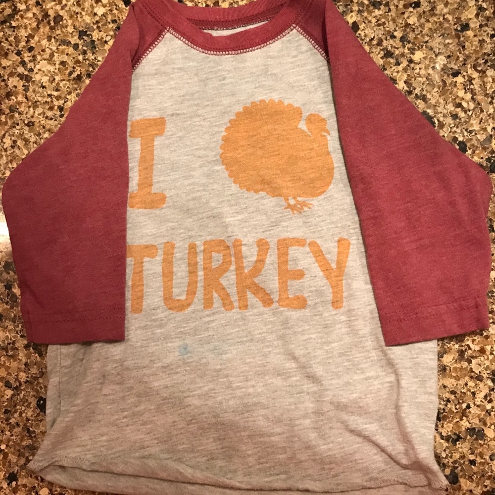 Turkey shirt 2T equivalent baseball style shirt